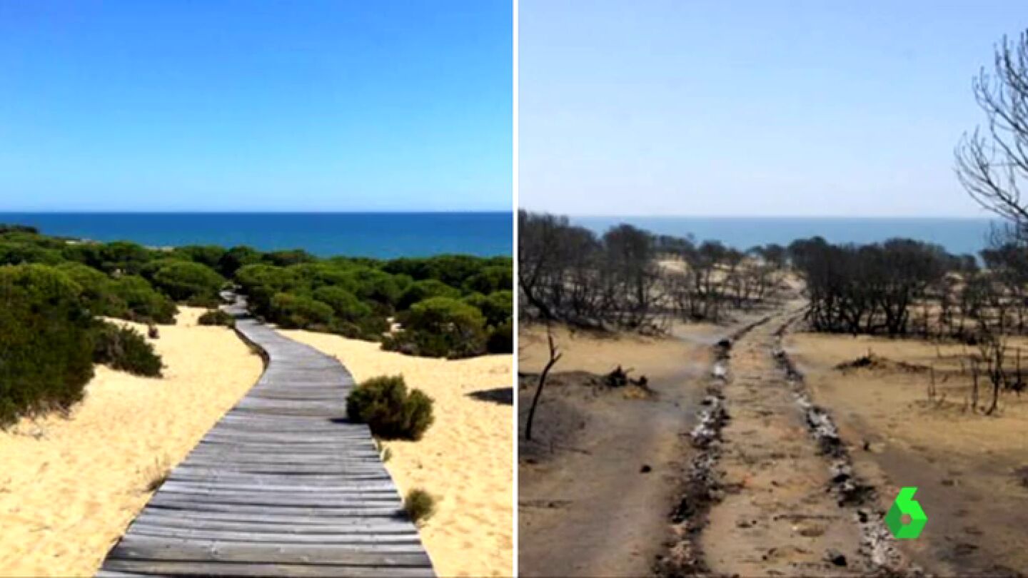 El antes y el despu&eacute;s del incendio en Moguer