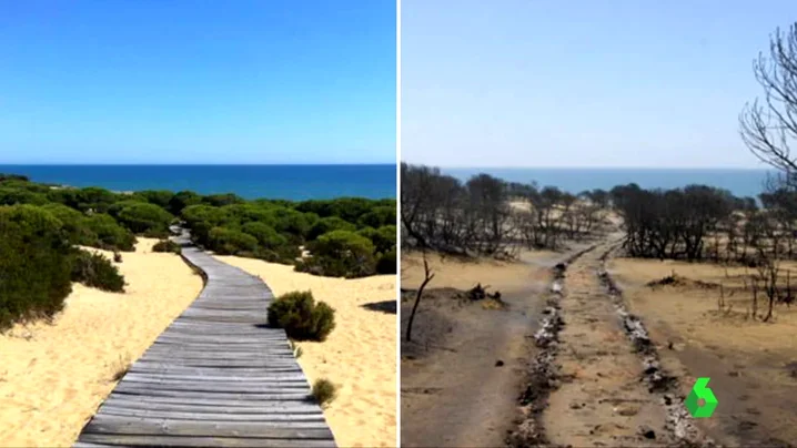 El antes y el después del incendio en Moguer