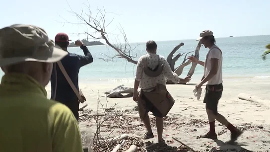 Los aventureros en la playa Los aventureros en la playa