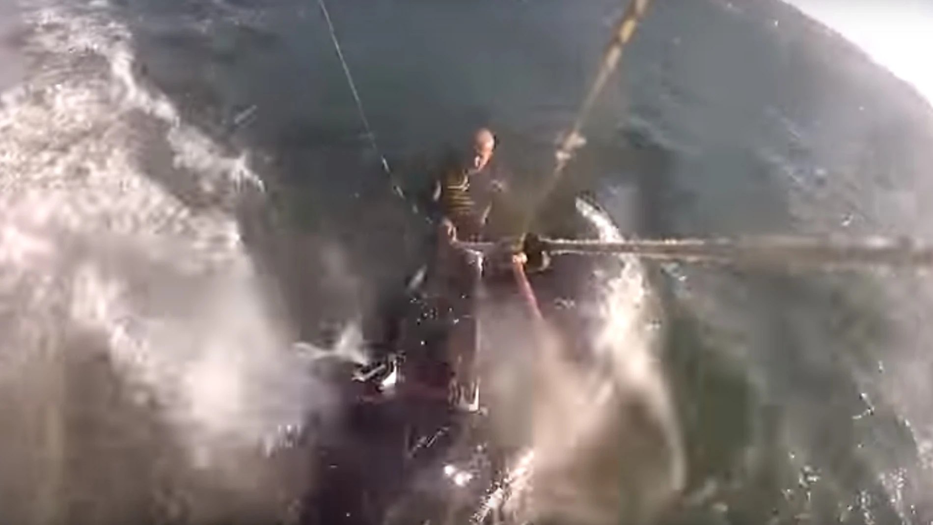 Una ballena golpea a un kitesurfista