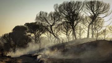Foto de Archivo del Incendio de Doñana