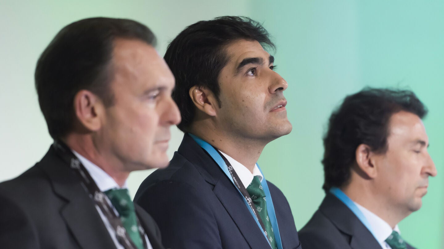 El presidente del Betis, &Aacute;ngel Haro
