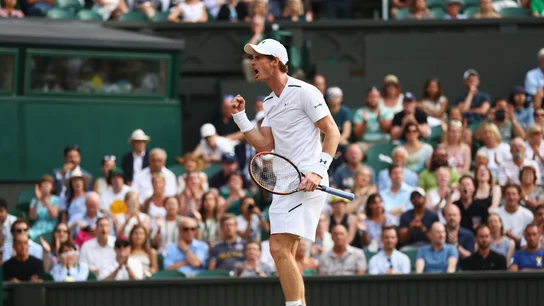 Andy Murray celebra un punto ante Fognini Andy Murray celebra un punto ante Fognini