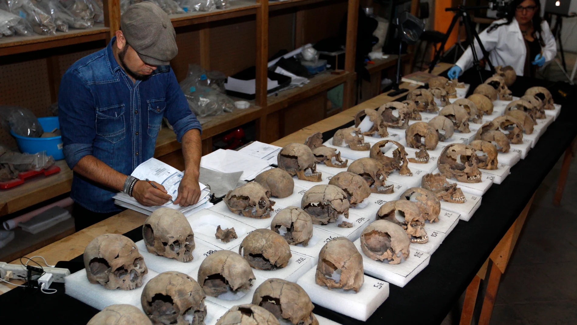 Antropólogos mexicanos estudian un conjunto de cráneos