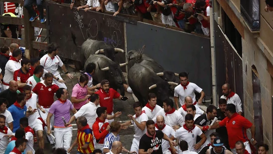 Los morlacos de la ganadería abulense de José Escolar Los morlacos de la ganadería abulense de José Escolar