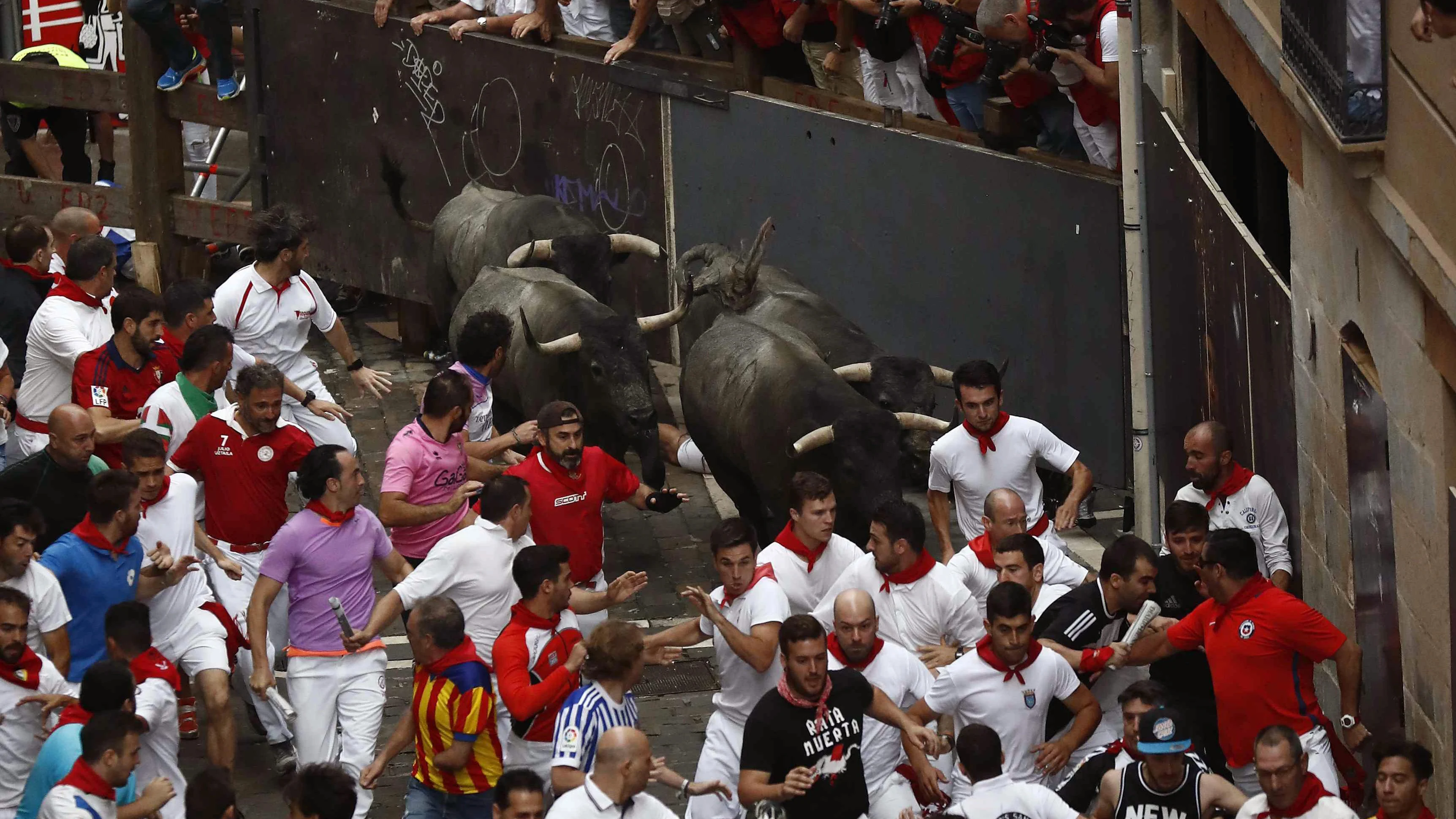 Los morlacos de la ganadería abulense de José Escolar 