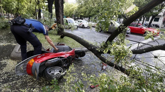 Una rama caída sobre una motocicleta en el Paseo de la Castellana Una rama caída sobre una motocicleta en el Paseo de la Castellana
