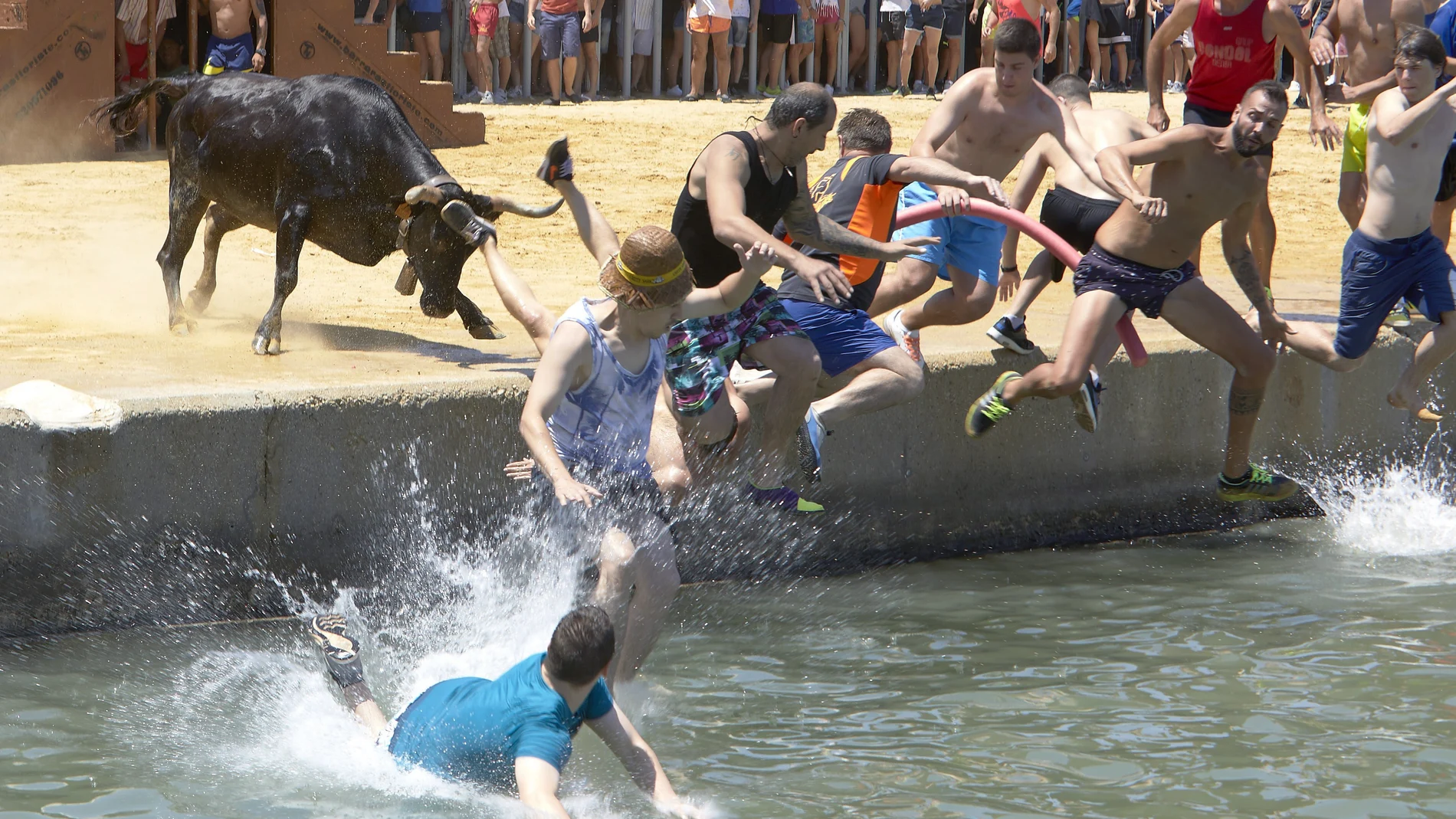 Varios mozos saltan al agua durante la celebración  de los 'Bous a la mar'