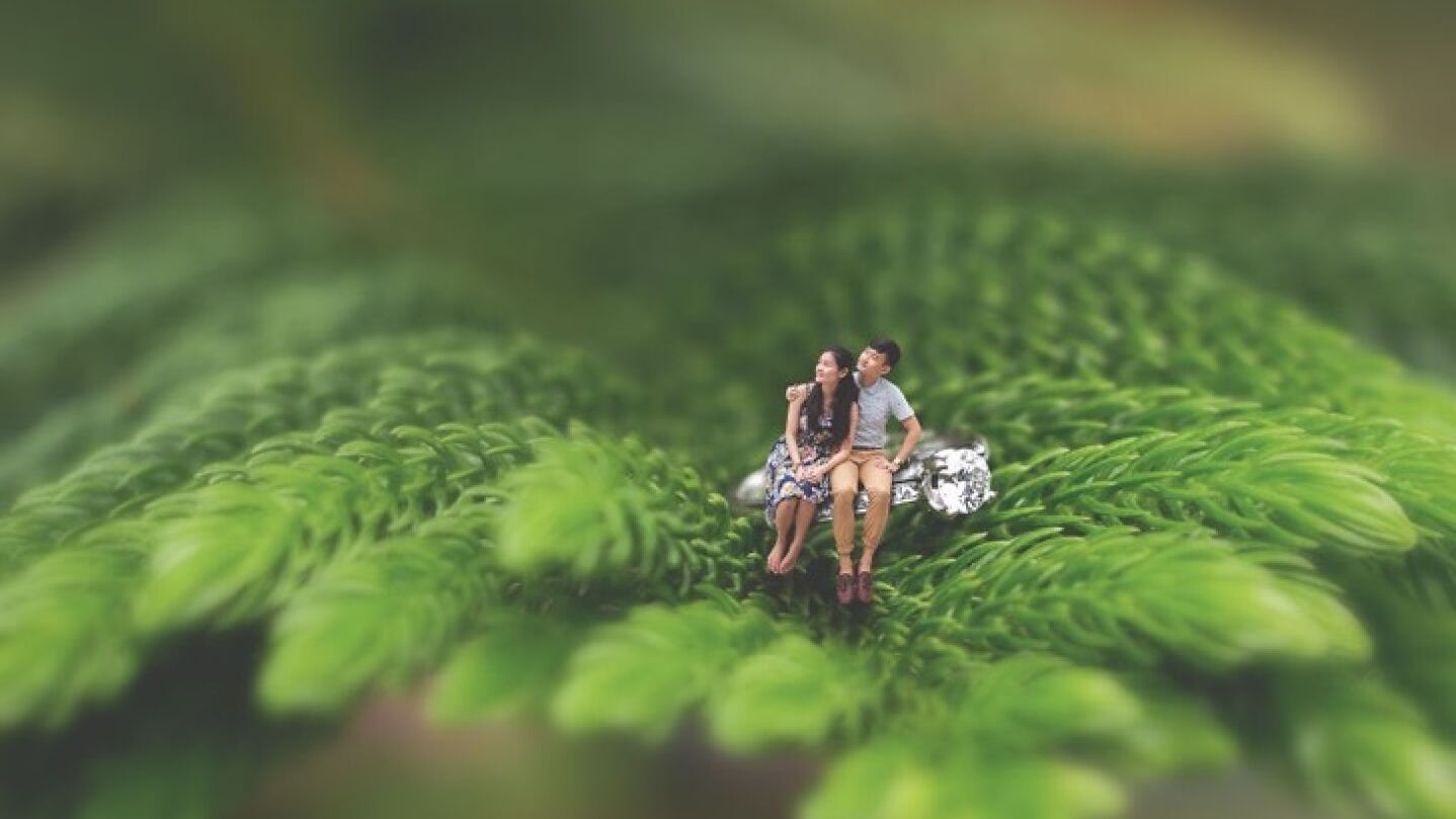 La joven pareja en miniatura sentados sobre una rama de un &aacute;rbol 
