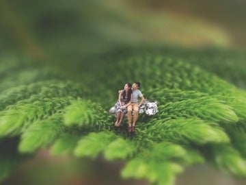 La joven pareja en miniatura sentados sobre una rama de un árbol La joven pareja en miniatura sentados sobre una rama de un árbol