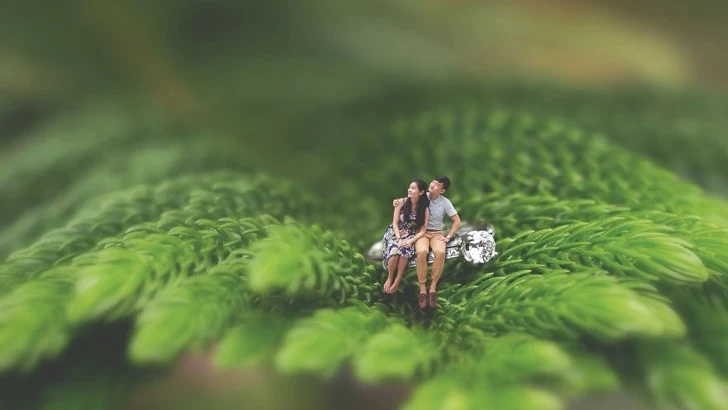 La joven pareja en miniatura sentados sobre una rama de un árbol 