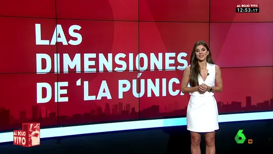 Más de 100 imputados, 350 testigos, 1.200 cuentas embargadas… las desorbitadas dimensiones de la Púnica Más de 100 imputados, 350 testigos, 1.200 cuentas embargadas… las desorbitadas dimensiones de la Púnica