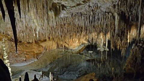 Cuevas Drach