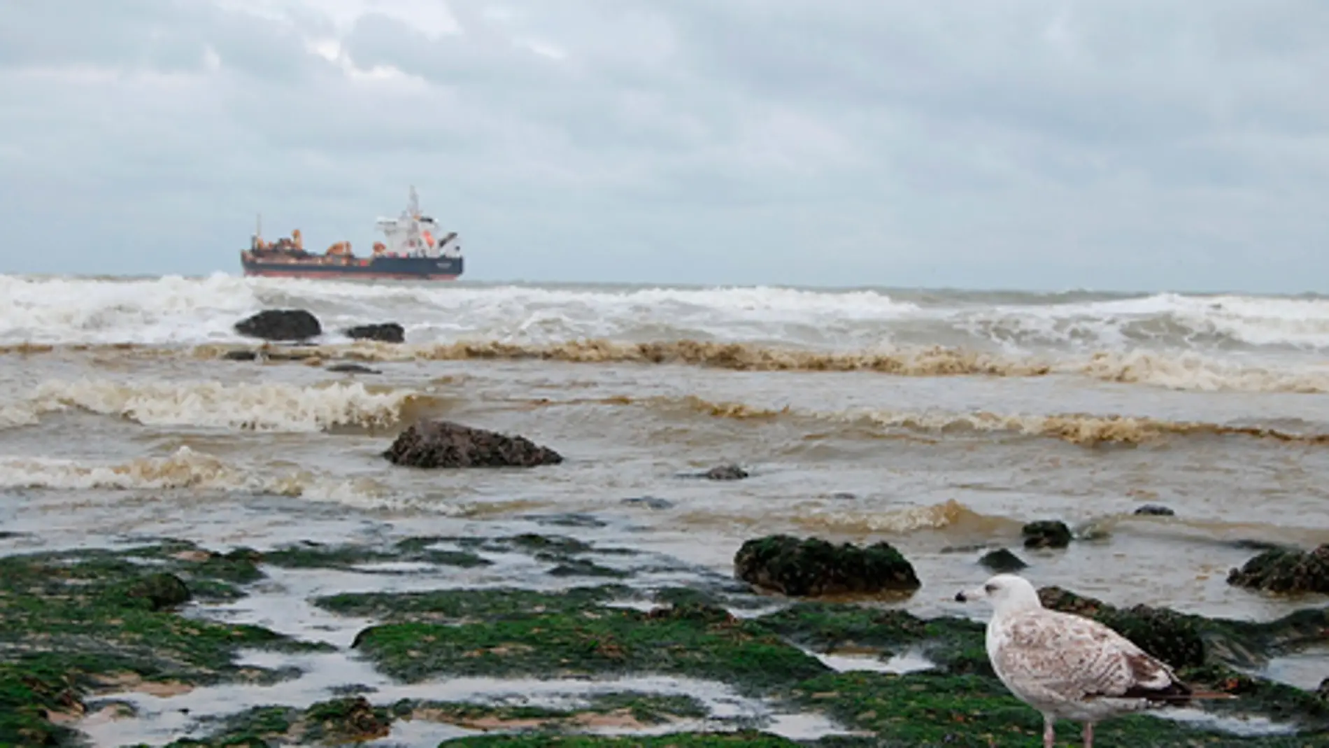 El índice contempla la distancia desde la costa hasta el lugar donde ocurre cada incidente marítimo, la magnitud del vertido liberado, la forma y longitud de la zona costera potencialmente afectada y el efecto de las corrientes oceánicas.