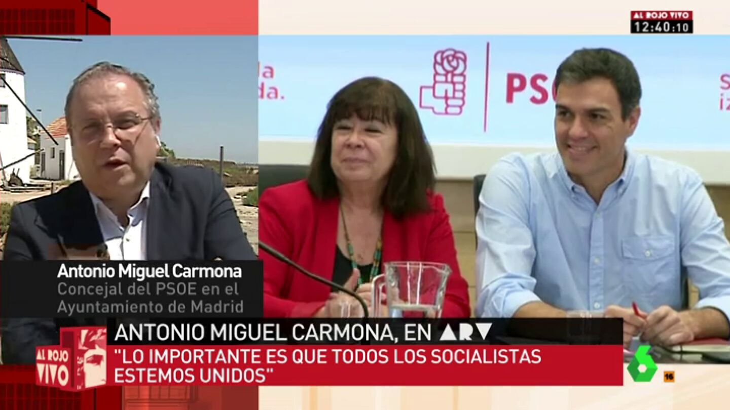 Carmona: "Quiero liderar la integraci&oacute;n de los socialistas"