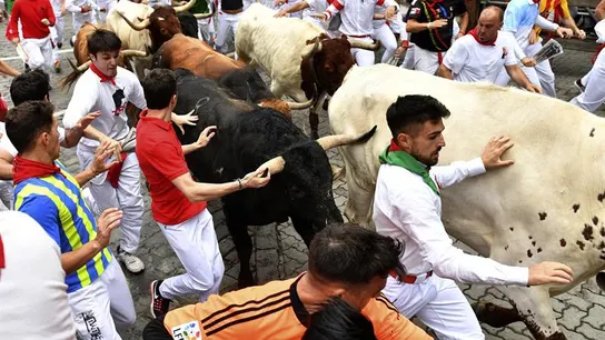 Los toros de la ganadería de Fuente Ymbro en el cuarto encierro Los toros de la ganadería de Fuente Ymbro en el cuarto encierro