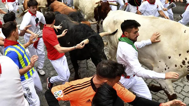 Los toros de la ganadería de Fuente Ymbro en el cuarto encierro