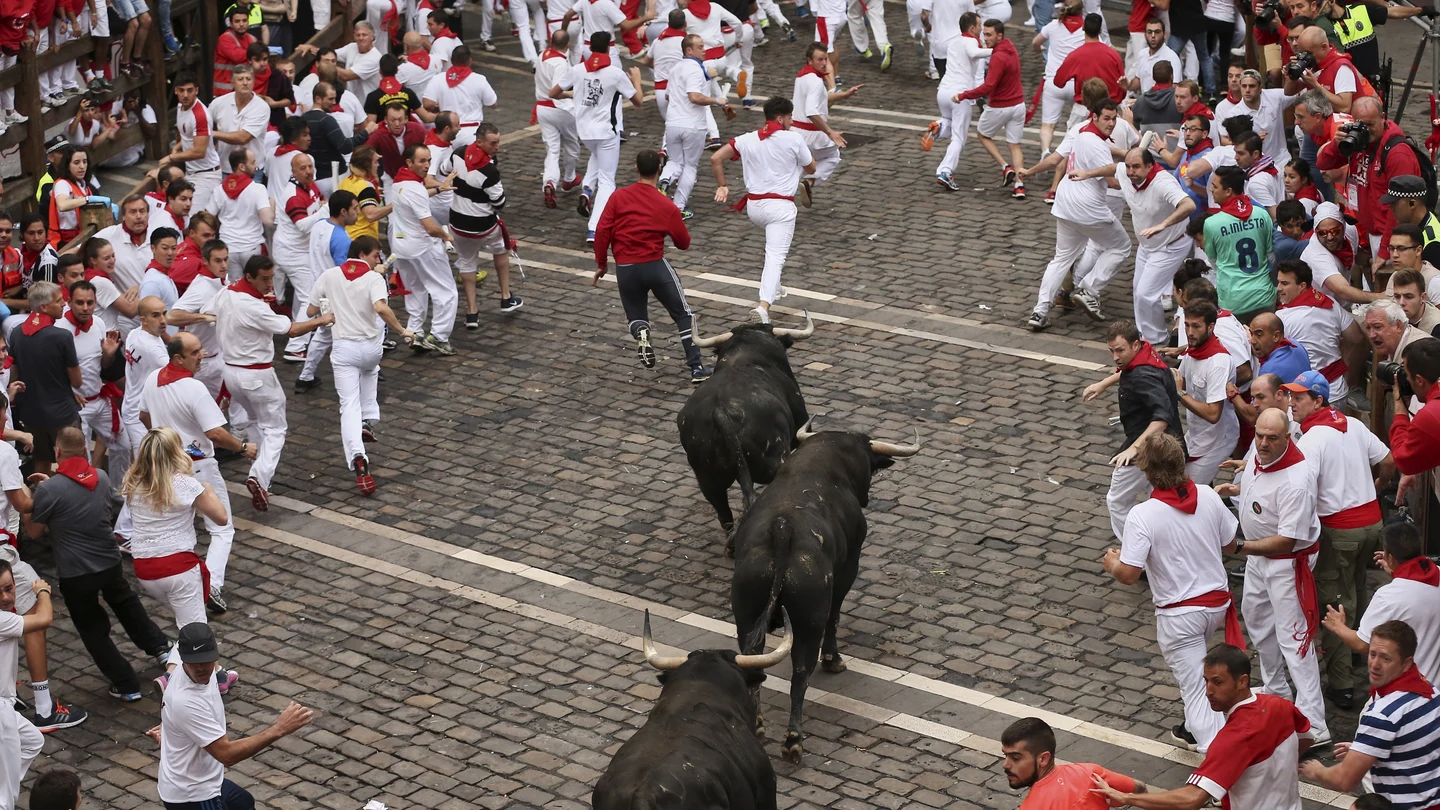 Quinto encierro San Fermín 2017 Los toros de Jandilla han protagonizado el encierro más rápido de los sanfermines 2017.