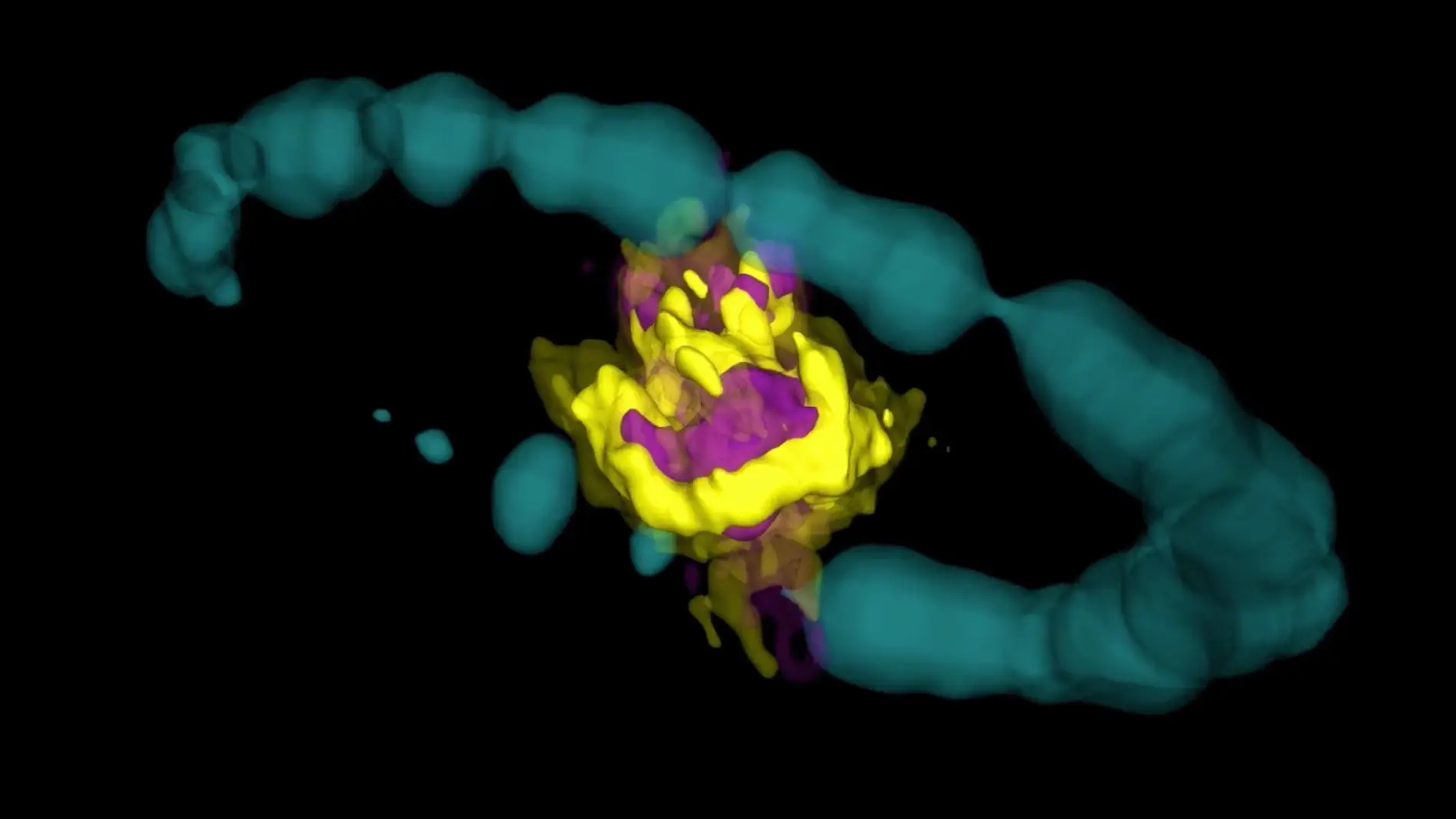 Así luce el corazón químico de una supernova: las zonas granates indican la presencia de monóxido de silicio y las amarillas, de monóxido de carbono