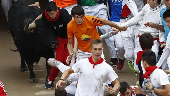 Los toros de Jandilla entran en la plaza en el quinto encierro de San Fermín