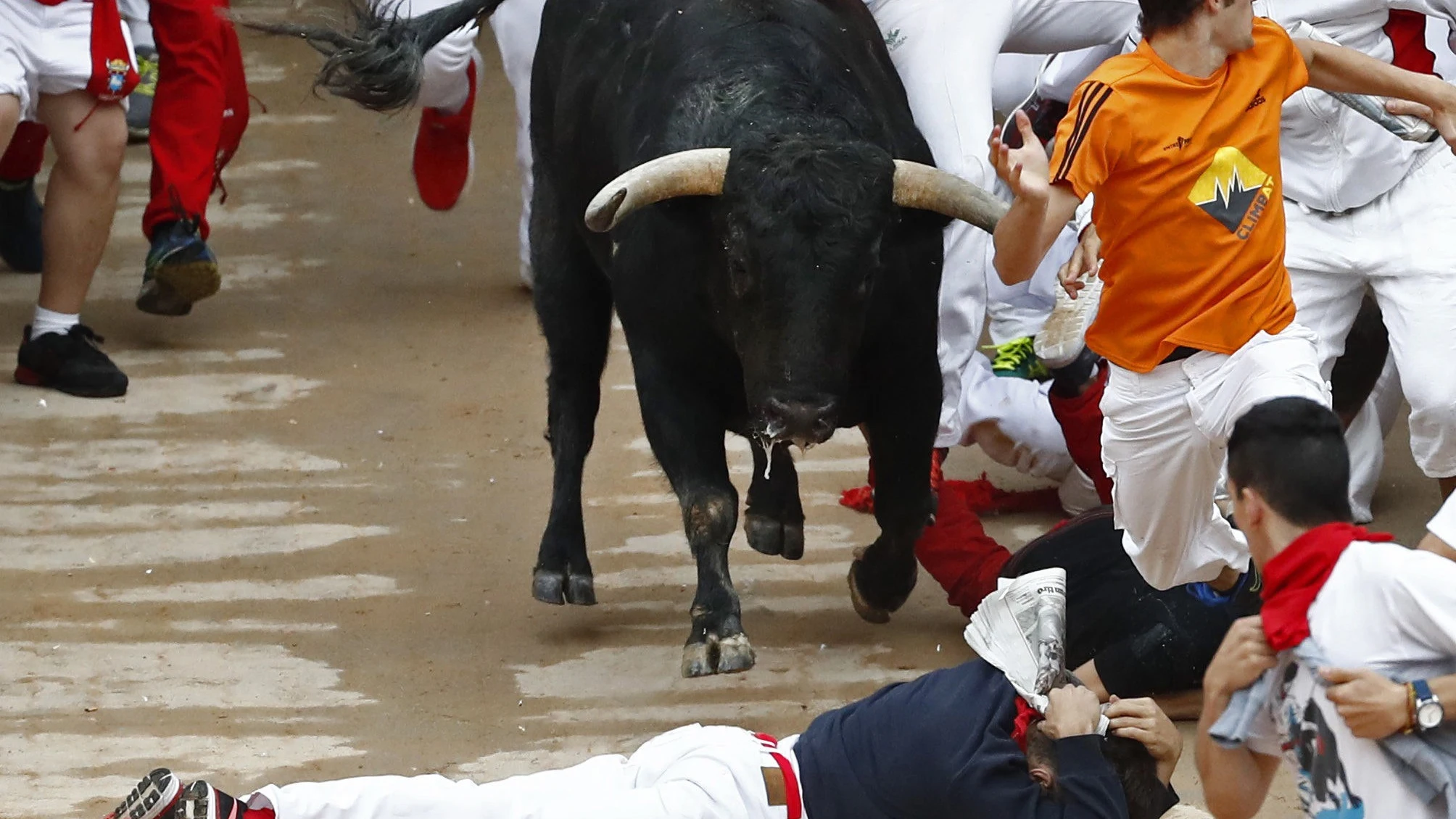 Un mozo se protege de un toro de Jandilla en la entrada de la Plaza de Toros de Pamplona.