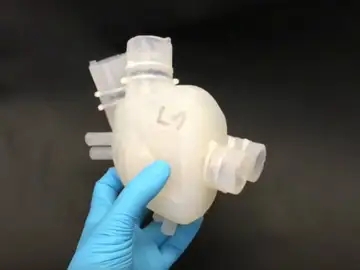 El corazón está fabricado con un material flexible El corazón está fabricado con un material flexible
