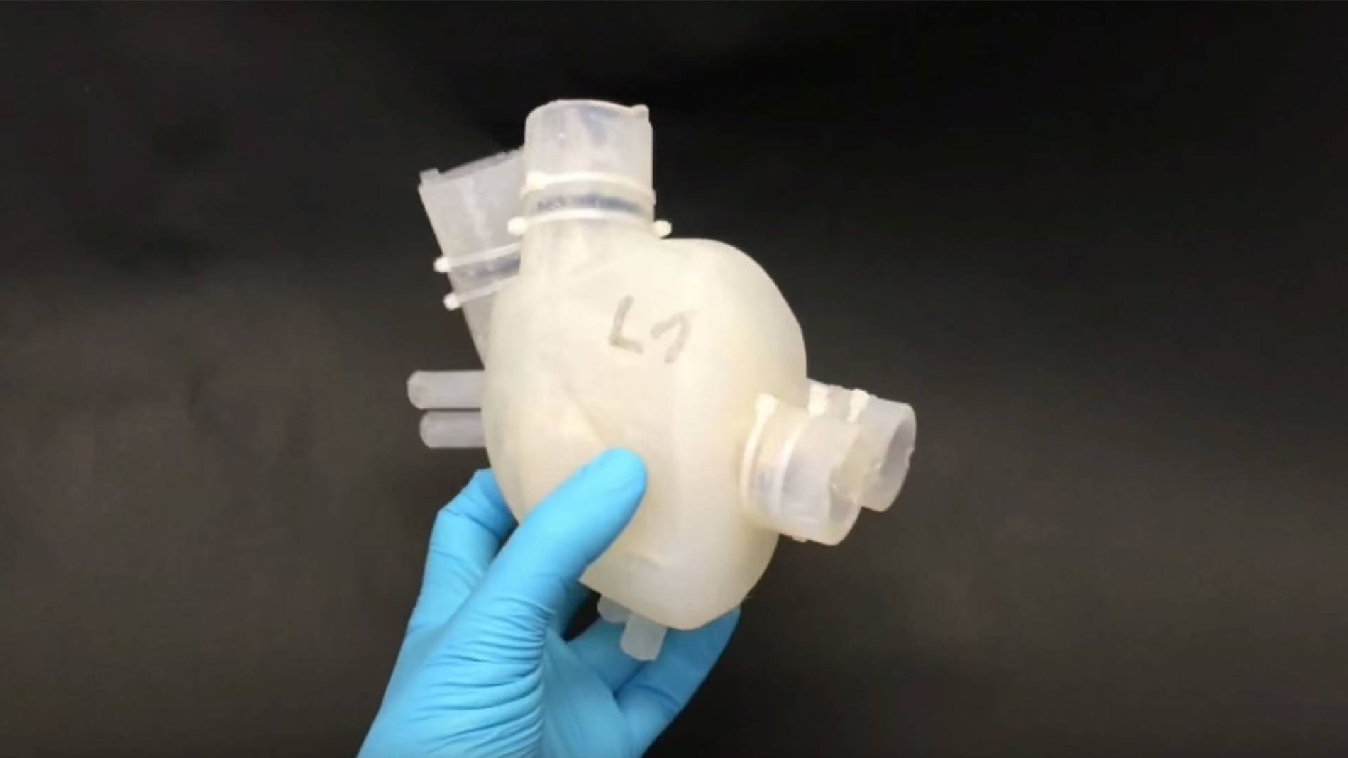 El corazón está fabricado con un material flexible