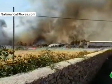 Riesgo muy alto de incendios en toda la península por las altas temperaturas Riesgo muy alto de incendios en toda la península por las altas temperaturas