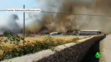 Riesgo muy alto de incendios en toda la península por las altas temperaturas 