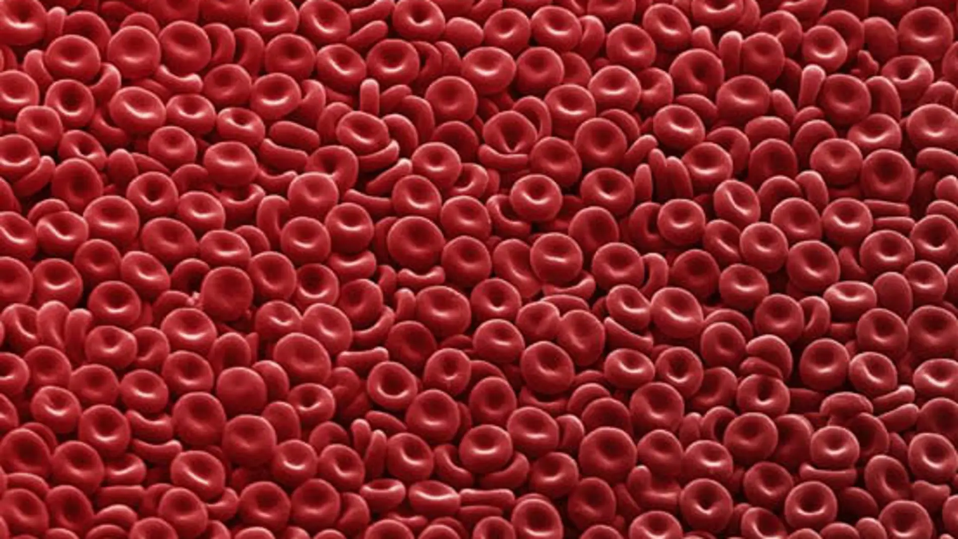 glóbulos rojos