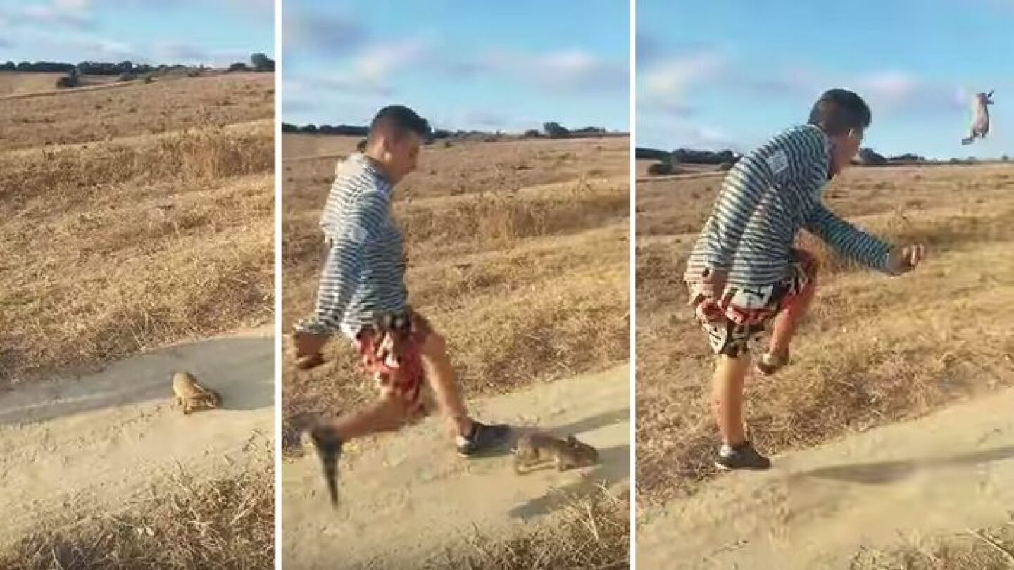 Un joven agrede brutalmente a un conejo