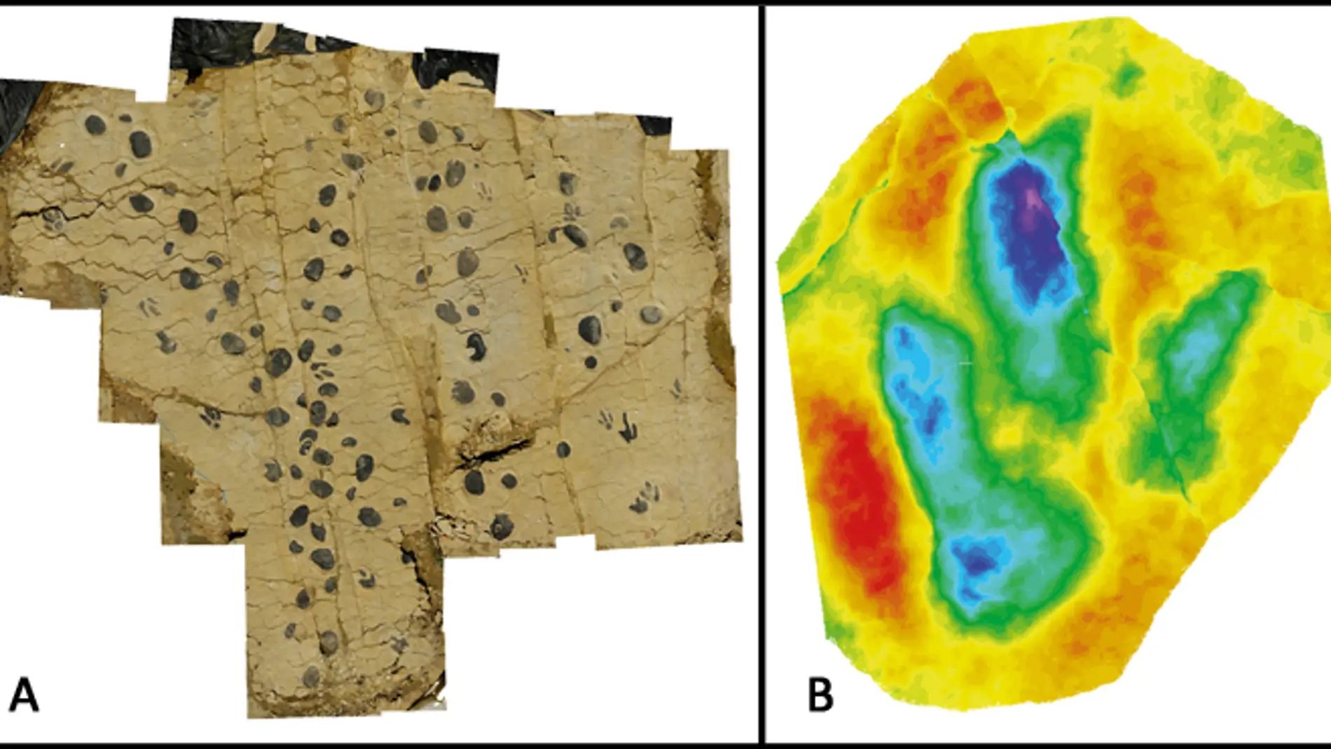 Rastro de Megalosauripus y mapa de profundidad