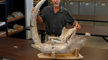 Peter Houde, profesor de la Universidad Estatal de Nuevo México con los restos fósiles hallados