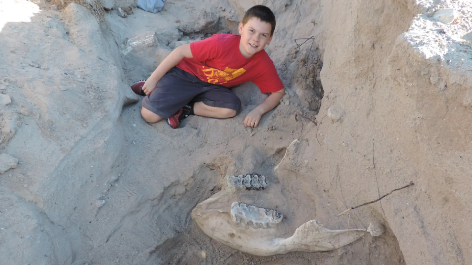 Un niño descubre un fósil en Nuevo México