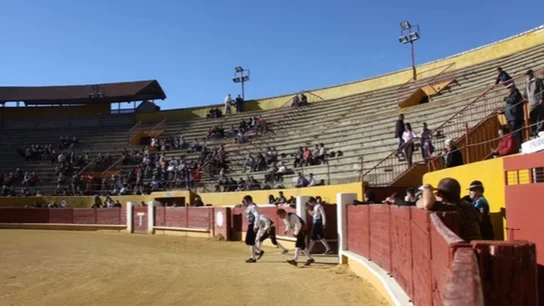 El presidente de la plaza de toros de Ávila compara el toreo con compresas: "Que se note, transpire y traspase" El presidente de la plaza de toros de Ávila compara el toreo con compresas: "Que se note, transpire y traspase"