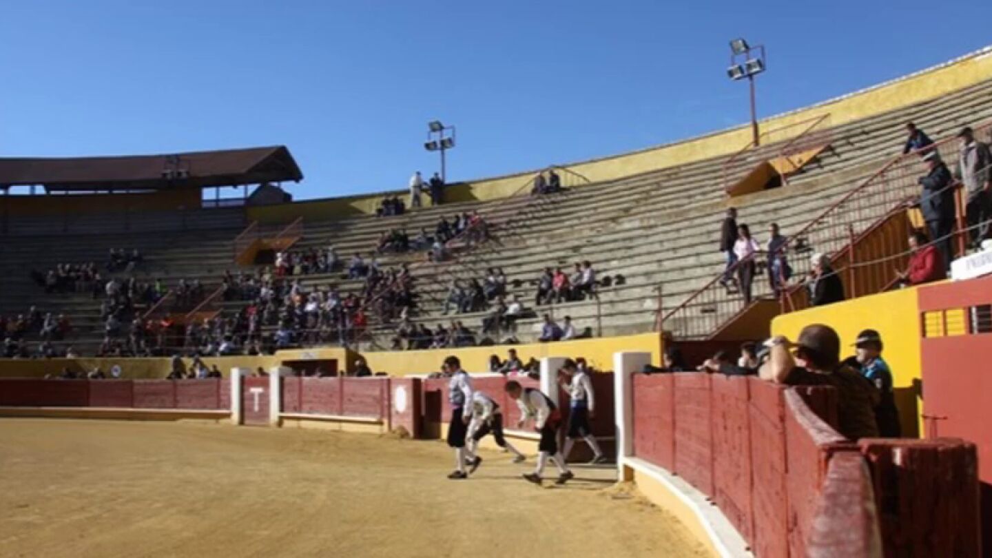 El presidente de la plaza de toros de &Aacute;vila compara el toreo con compresas: "Que se note, transpire y traspase"