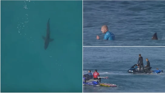 Mick Fanning, de nuevo ante un tiburón en Sudáfrica Mick Fanning, de nuevo ante un tiburón en Sudáfrica
