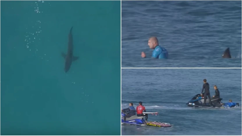 Mick Fanning, de nuevo ante un tiburón en Sudáfrica