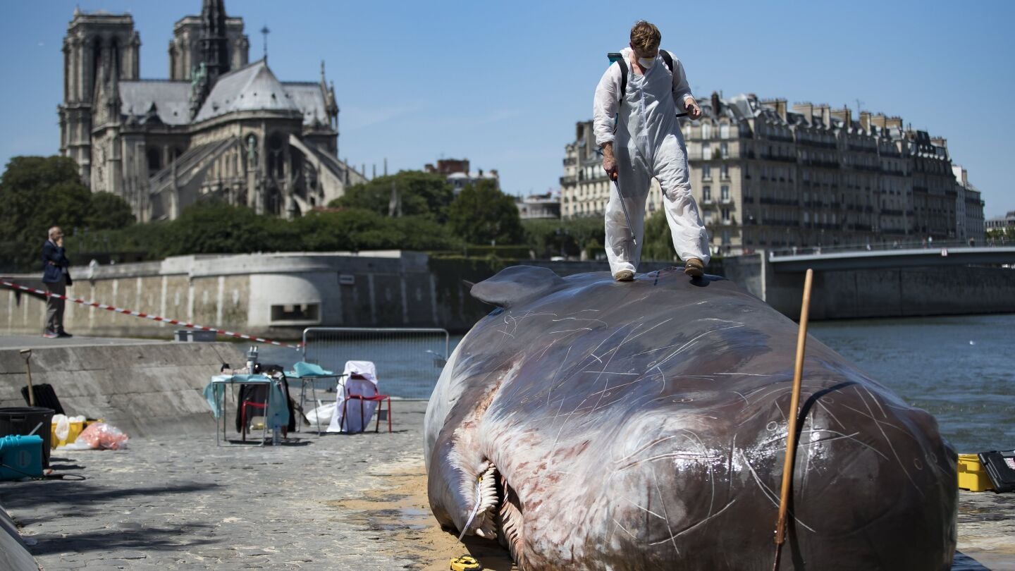 Los artistas junto a la escultura del cachalote varado en Par&iacute;s