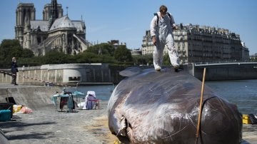 Los artistas junto a la escultura del cachalote varado en París