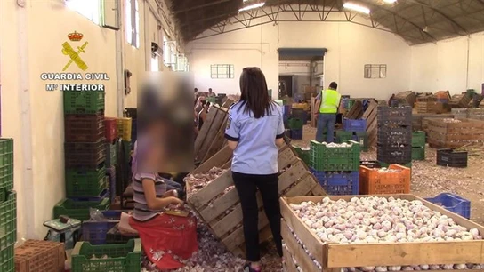 Los agentes de la Guardia Civil auxiliando a los trabajadores explotados Los agentes de la Guardia Civil auxiliando a los trabajadores explotados