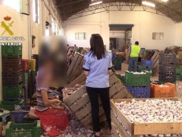 Los agentes de la Guardia Civil auxiliando a los trabajadores explotados Los agentes de la Guardia Civil auxiliando a los trabajadores explotados