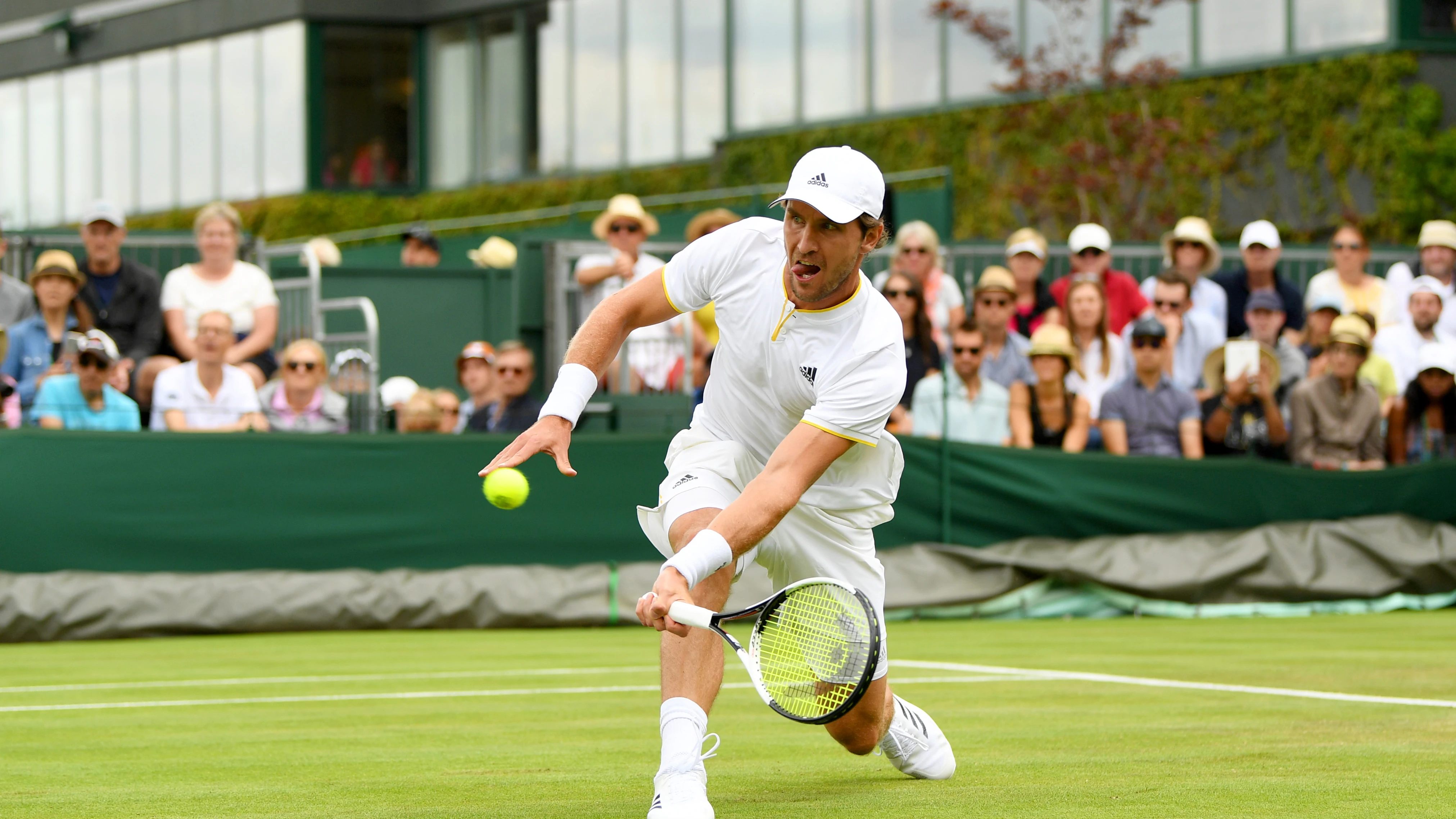 Tomic en Wimbledon Tomic en Wimbledon