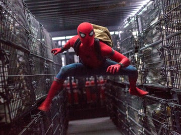 Spiderman Spiderman