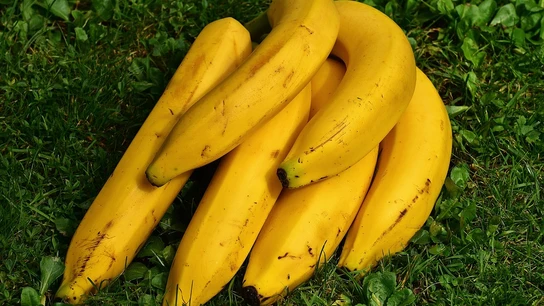 Plátano de Canarias Cinco beneficios del plátano de Canarias para nuestros peques