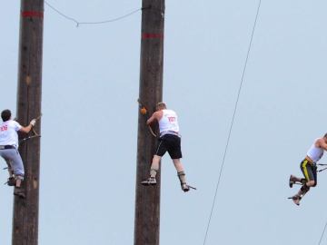 Los participantes deben escalar troncos de 27 metros Los participantes deben escalar troncos de 27 metros