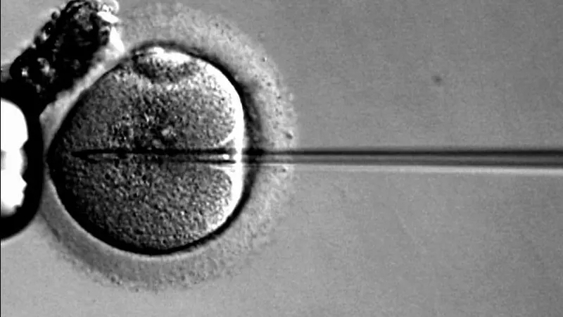 Fecundación in vitro