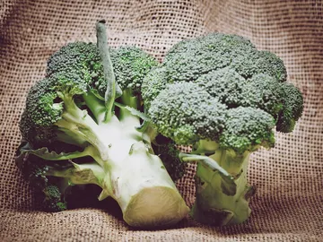 El brócoli: sano y aburrido El brócoli: sano y aburrido