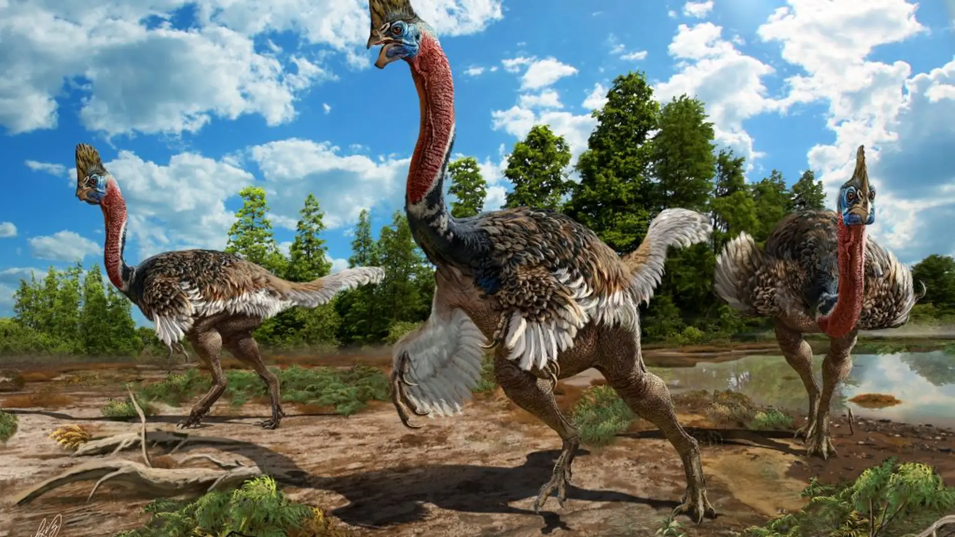 Un nuevo dinosaurio con cabeza de casuario y cuerpo de avestruz