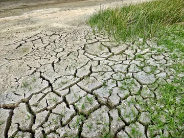 El cambio climático matará en 2100 a unas 260.000 personas El cambio climático matará en 2100 a unas 260.000 personas
